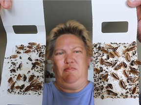 Beverly Dupuis displays cockroaches that were trapped in her apartment at 920 Ouellette Ave. on Oct. 12, 2016 in Windsor, Ont. The infestation is overwhelming, she said.