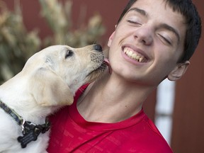 Alex Brown, 13, gets a lick on his neck from his new yellow lab, Jake, donated by the Windsor Police Service, Saturday, Oct. 29, 2016. Brown is a boy with autism whose previous dog was killed after being hit by a car.