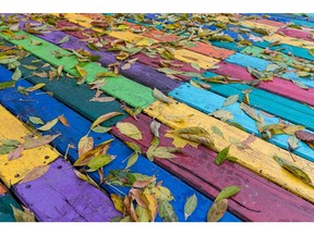 Fallen leaves on multi-coloured wooden boards. Autumn background. Photo by Getty Images.