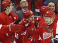 Detroit Red Wings right wing Gustav Nyquist (14) celebrates his goal against San Jose Sharks in the second period of an NHL hockey game in Detroit, Saturday, Oct. 22, 2016.