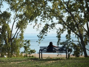 A person enjoys the view from a bench facing Seacliff Beach at the 2012 Leamington Tomato Festival at Seacliff Park on Aug. 18, 2012.