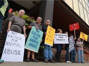A group of protesters outside provincial offences court on Monday, Oct. 17, 2016, demonstrate against animal cruelty offences allegedly committed by Candace Kwasnicki.