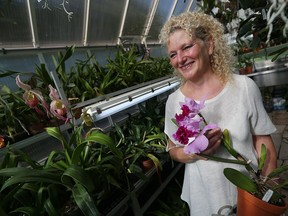 Windsor Orchid Society president Deb Boersma looks over her orchids in her greenhouse near Harrow on Monday, Oct. 17, 2016. The society is hosting its annual orchid show this weekend.