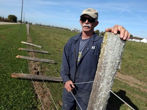 Rick Laframboise inspects his fence along his property in Amherstburg on Wednesday, Oct. 19, 2016 after a young driver crashed through the fence striking and killing one of his horses.