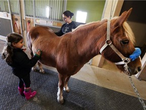 Violet Muscat, left, and Christina Pacitti groom Wendy at the Windsor-Essex Therapeutic Riding Association near McGregor on Oct. 28, 2016. WETRA received a $221,900 Trillium Grant.