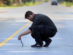 Jonathan Choquette peels a young Butler's garter snake from Malden Road pavement near Ojibway Prairie Nature Provincial Reserve on  Oct. 7, 2016.  Choquette recorded four Butler's in the same spot.