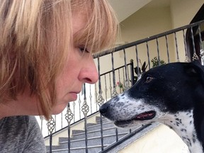 Brenda Biekx and her new friend Leslie, a saluki-dalmatian mix. The Windsor woman rescued the two-year-old royal dog in October in Qatar.