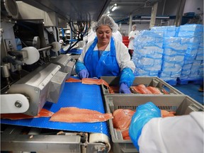 Workers at John O's Foods Inc., in Wheatley process fish on Nov. 21, 2016.