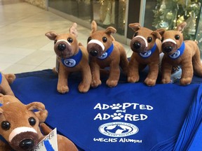 The Windsor and Essex County Humane Society is raising money by selling stuffed Justice the Dog toys.