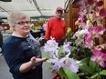 Juliette and Albert St. Pierre, members of the Essex County Orchid Society, set up for the 7th Orchid Show on Friday, November 11, 2016, at Colansanti's in Kingsville.