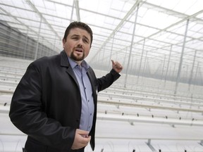 David Braun, owner of Pomas Farms, talks about the Union Gas Leamington Expansion project as part of his greenhouse operation in Staples, north of Leamington, on Nov. 24, 2016.