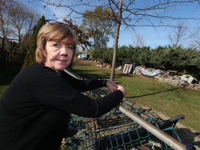 Dawn Hazael is upset by a crew cutting the brush and trees from a lot behind her home in LaSalle on Nov. 22, 2016.