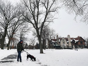 Darryl Churchill walks his dog at the Willistead Park on Friday, December 16, 2016.