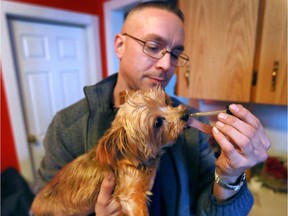 Jason Martin administers a dose of hemp oil to his dog Jasmine on Dec. 13, 2016. The eight-year-old Yorkie has been prescribed the oil for cancer treatment.