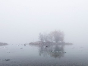 Fog blankets the bay at McKee Park in West Windsor, Sunday, Jan. 22, 2017.