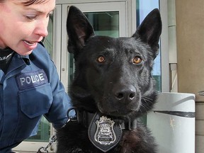 Windsor police dog Rony and handler Const. Patti Pastorius in a 2011 file photo.