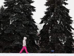 A woman takes her dog for a walk on a chilly morning in Windsor on Thursday, January 5, 2017.
