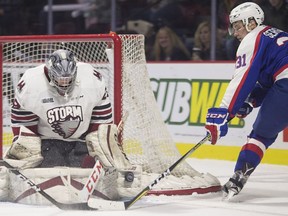 Windsor Spitfires Mikhail Sergachev bangs at the puck against Guelph Storm goalie Liam Herbst in OHL action at the WFCU Centre on Jan. 22, 2017.