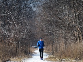 Mike Bechard takes a sunny but chilly run on Thursday, February 9, 2017 through the Ojibway Park in Windsor, ON.
