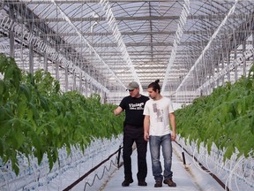 Gerry Mastronardi, owner of TG & G Mastronardi greenhouses, and his son Brennan Mastronardi are shown at their Leamington operation Feb. 6, 2017.