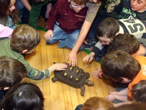 Schoolchildren admire a tortoise during an exhibition by Little Ray's Reptile Zoo in Ottawa in 2009.