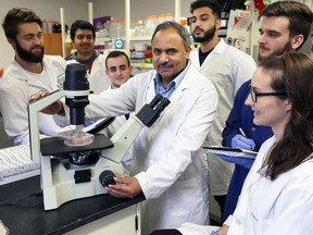 University of Windsor biochemistry professor Siyaram Pandey, centre, stands in the middle of his cancer research team at University of Windsor's department of chemistry and biochemistry on Feb. 22, 2017. Surrounding Dr. Pandey are research assistant Chris Pignanelli, left, students Krishan Parashar, Fadi Mansour, Ali Mehaidli, Jesse Ropat and Emily Kogel, right.