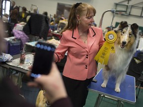 Sky, a Rough Collie Blue Merle, poses with Glenda Scott while her owner, Kayla McMann snaps a photo after she received the 3rd prize in her herding group at the All Breed Championship Dog Show at St. Clair College, Sunday, March 19, 2017.  The show was organized by the Windsor All Breed Training and Tracking Club.