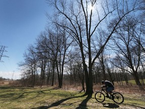 A cyclist is shown riding through Brunet Park in LaSalle, on Wednesday, March 29, 2017. The town is concerned about Hydro One's plan to clear cut the environmentally significant woodlot for maintenance work.