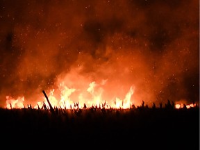 Marsh land on fire at Point Pelee National Park in Leamington on the night of March 29, 2017.