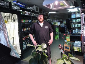 James Marcoux, proprietor of The Urban GreenHouse in Windsor, Ont., is shown in the store on March 27, 2017. If the federal government goes ahead with marijuana legalization, Marcoux anticipates an increase in business.