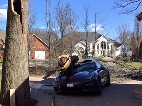 One of the big claims arising from the March 8 wind storm in the Windsor area was for this Porche, destroyed by a falling tree limb in LaSalle, Ont. The vehicle's worth was estimated at $80,000 to $90,000.