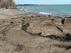 The Department of Fisheries and Oceans, in partnership with Essex Region Conservation Authority and the Town of Leamington, moved almost 10,000 cubic metres of sand dredged from the Wheatley Harbour to Hillman Marsh's south beach area where fierce storms have ravaged the shoreline.