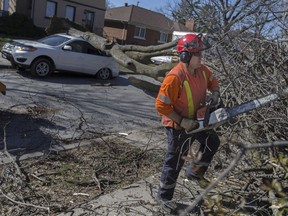 Employees with the City of Windsor remove a downed tree that landed on an SUV in the 1300 block of Victoria Avenue as dangerous winds caused problems across the region on April 8, 2017.