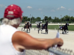 Drivers race their horses to the finish line during harness racing action in Leamington on Aug. 16, 2015.