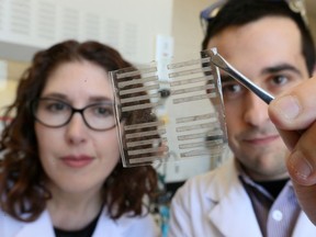 University of Windsor professors Tricia Carmichael, left, and Simon Rondeau-Gagne hold a transparent, stretchable and wearable material in the biochemistry and chemistry departments March 15, 2017.
