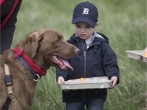 Archer Lenarduzzi, 2, shares his Easter eggs with Thor, a Chesapeake Bay Retriever, at the National Service Dogs Easter Egg Hunt for Dogs at Malden Park, Friday, April 14, 2017.