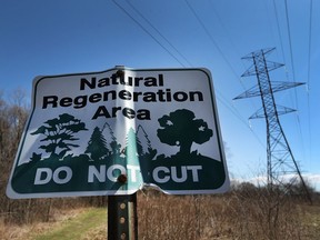 A sign warning "Do Not Cut" is shown at the Brunet Park in LaSalle on March 29, 2017. The town is concerned about Hydro One's plan to clear cut the environmentally significant woodlot for maintenance work.
