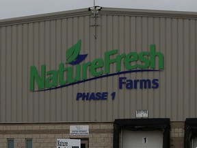 A NatureFresh Farms sign is shown on Mersea Road 7 Monday March 28, 2016.