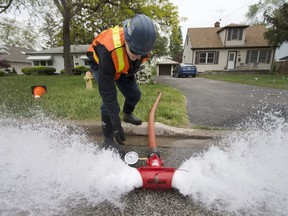 An employee with Troy Fire and Safety remove water from fire hydrants on Roseland Drive South on May 19, 2017.