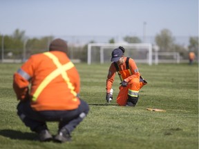 Workers with The City of Windsor's parks department prepare soccer fields at Ford Test Track Park May 8, 2017.  Significant rainfall continues to keep sports fields closed.