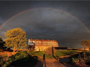 A rainbow forms over an old barn as the sun sets on May 1, 2017, near Highway 401 and Manning Road in Tecumseh.