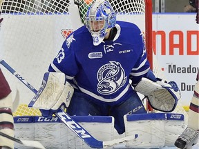 Tecumseh's Matthew Mancina will be trying to help Mississauga Steelheads get to the Memorial Cup in Windsor.