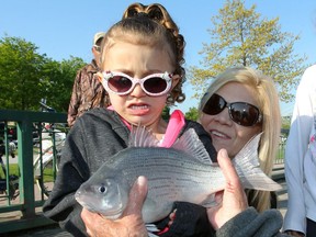 Juliette Scalia, 4, gets up close and personal with a silver bass caught by her great-grandmother Judy Whiteford (not shown) who was holding the fish at the Windsor Sportsmen's Club Annual Kids Fishing Derby at Assumption Park on May 13, 2017.  Grandmother Debi Paetkau, right, joins the fun.