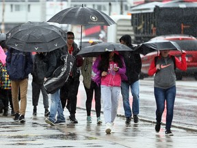 A sea of umbrellas provides shelter from the rain as Kennedy Collegiate Institute students leave school for the day along Tecumseh Road East, May 4, 2017.