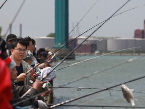 Hundreds of people fish for Silver Bass along the Detroit River at Centennial Park in this 2013 file photo. The inaugural Detroit River Free Family Fishing Day takes place July 9.