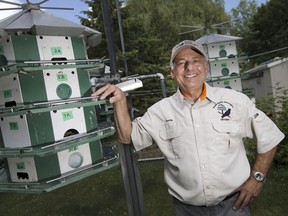 Dennis Shady is pictured next to his purple martin housing at his home in South Colchester, Monday, June 19, 2017.