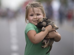 Some walked, some got carried. Angel Kehoe, 3, squeezes her month-old mastiff during the 15th annual Walkerville Art Walk, July 21, 2017.