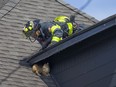 Peekaboo! A Windsor firefighter works to capture a well-hidden stray cat discovered on the roof of a downtown business on Ouellette Avenue, July 5, 2017.