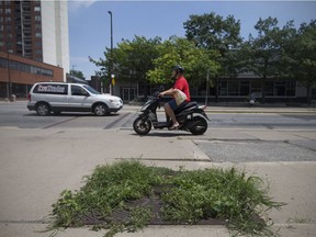 Overgrown weeds take over a grate on the sidewalk of  Ouellette Avenue in downtown Windsor, Thursday, July 27, 2017.