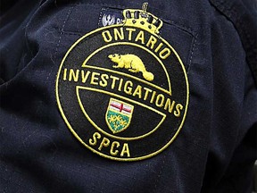 Badge of the Ontario Society for the Prevention of Cruelty to Animals.
